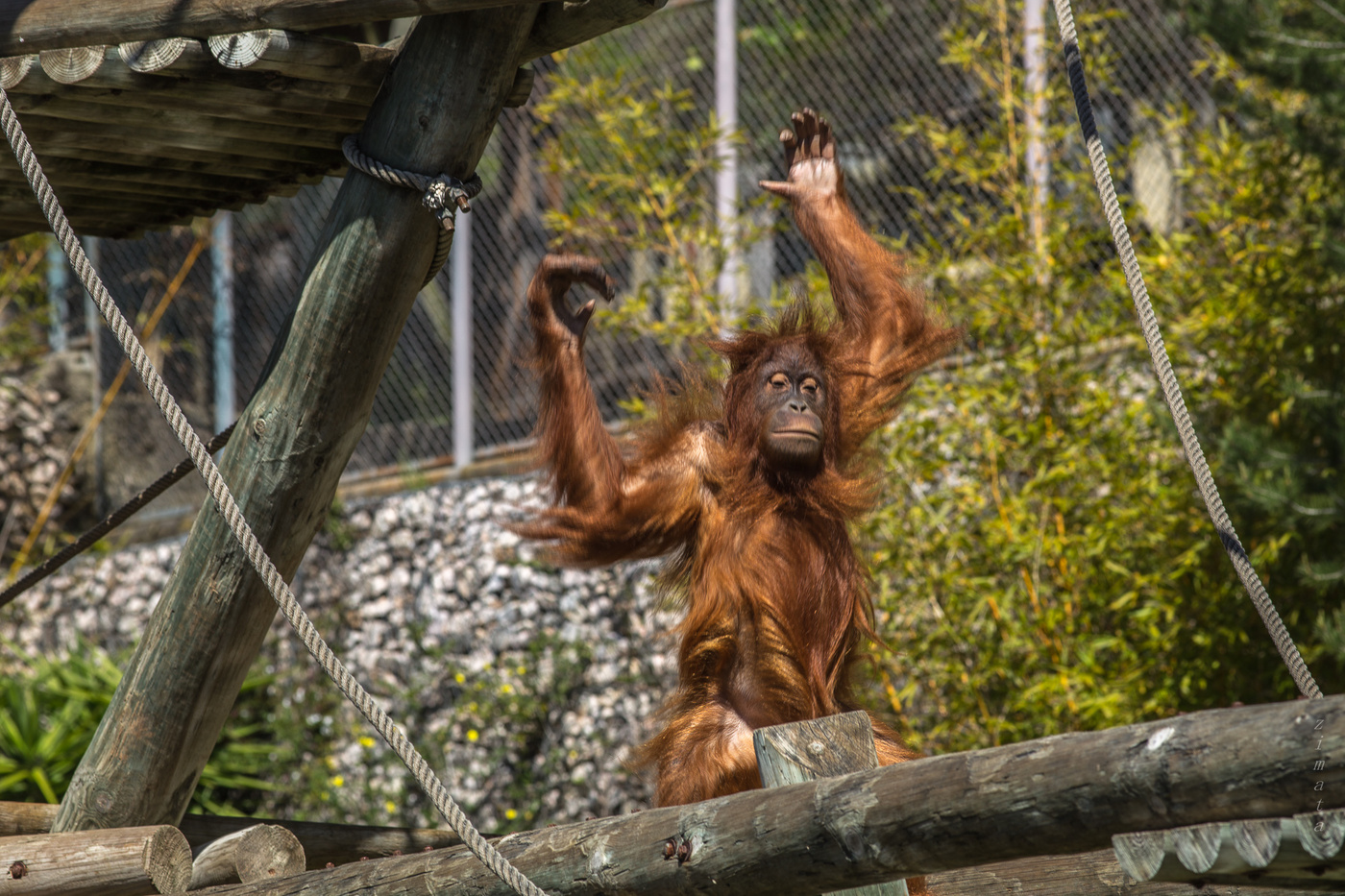 всем привет