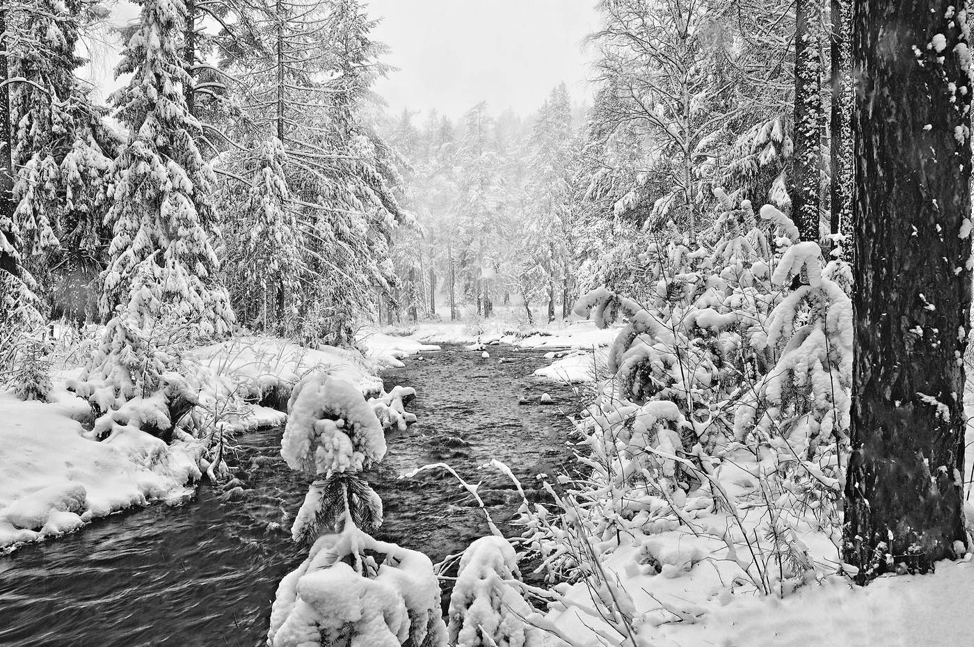 Белоснежный апрель