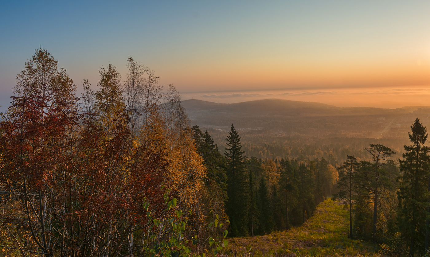 Осенняя палитра