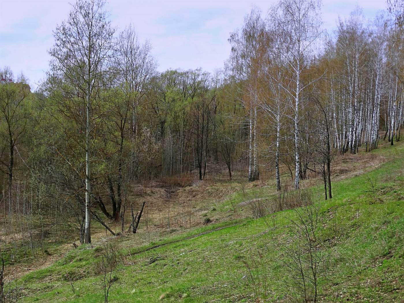 Весна на косогоре