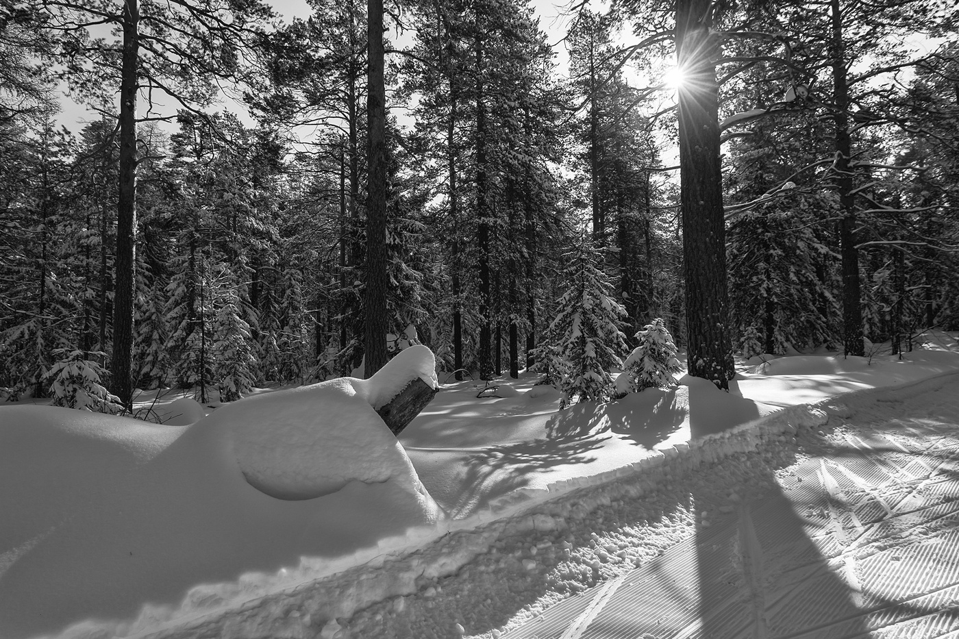 Воспоминание о зиме