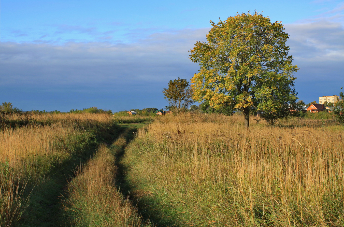 осенний пригород