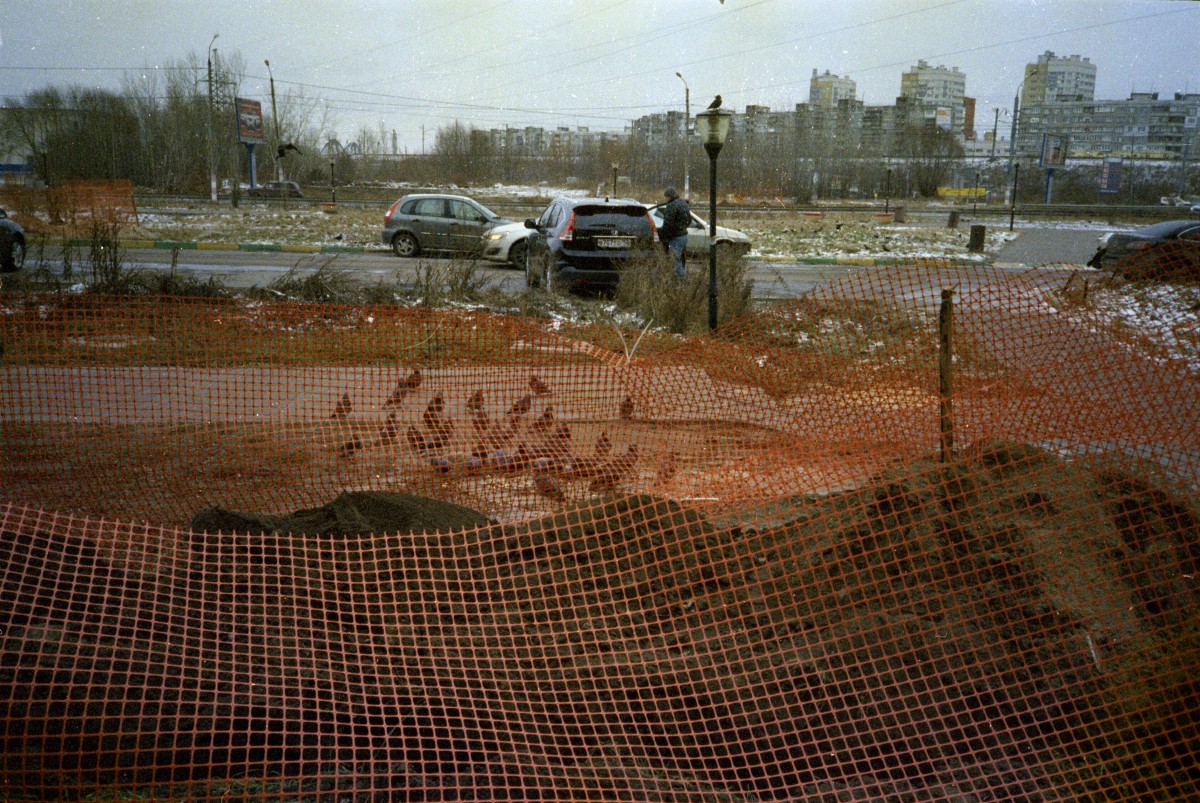 Ловушка для птиц