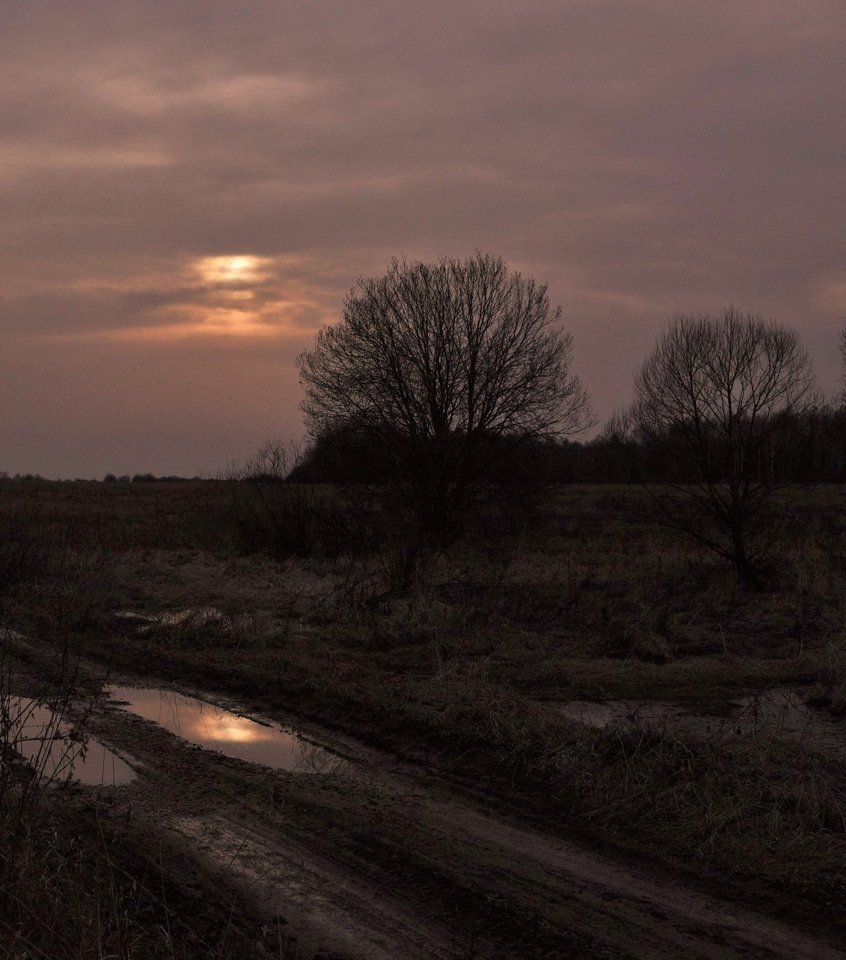 Поздний вечер ...