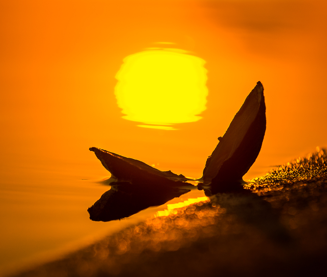 Навстречу свету