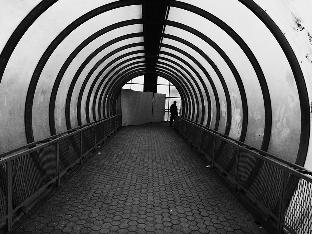 Навстречу свету