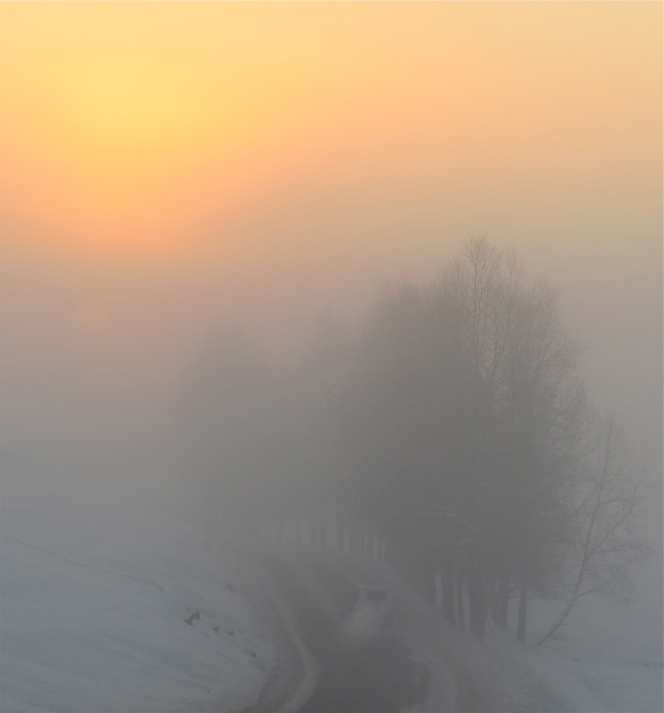 Навстречу свету