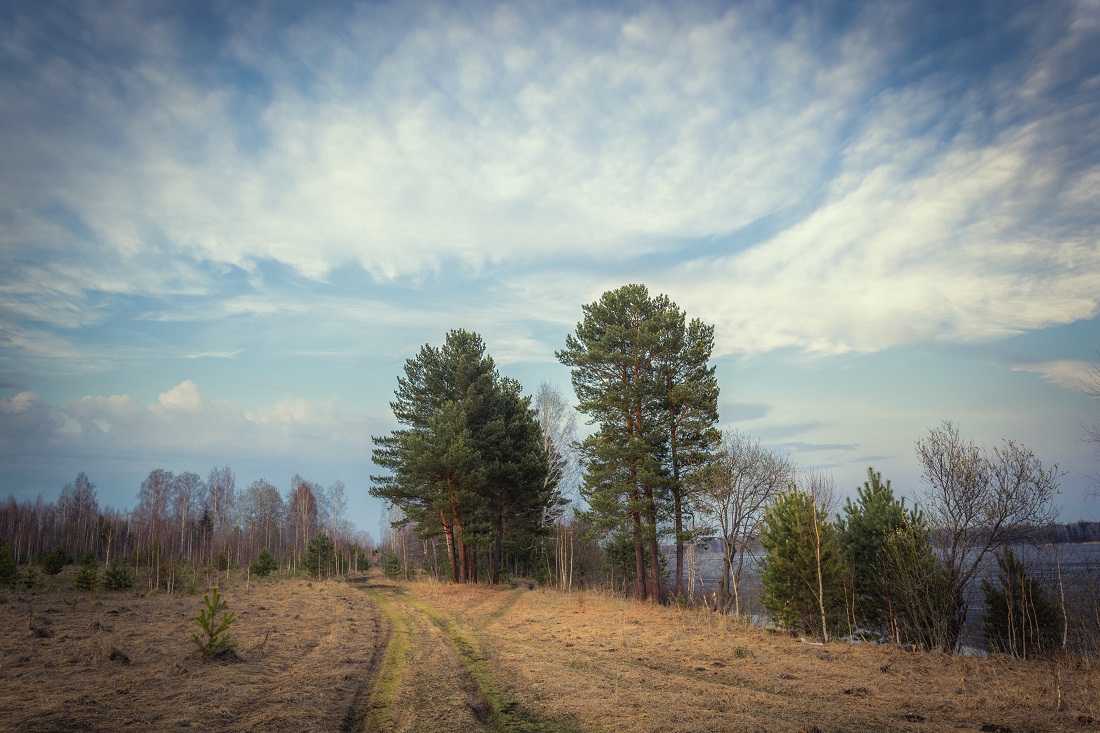 Вессенний порыв...>>