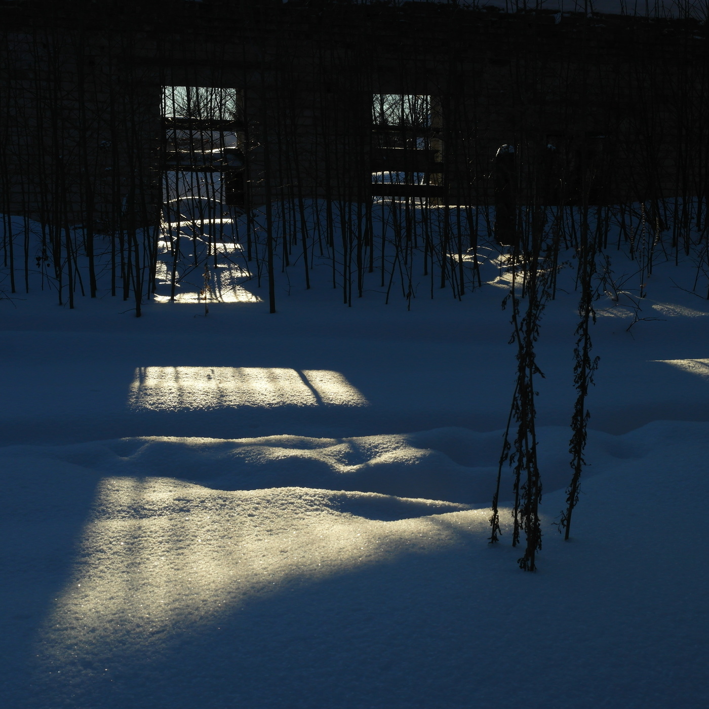 Навстречу свету