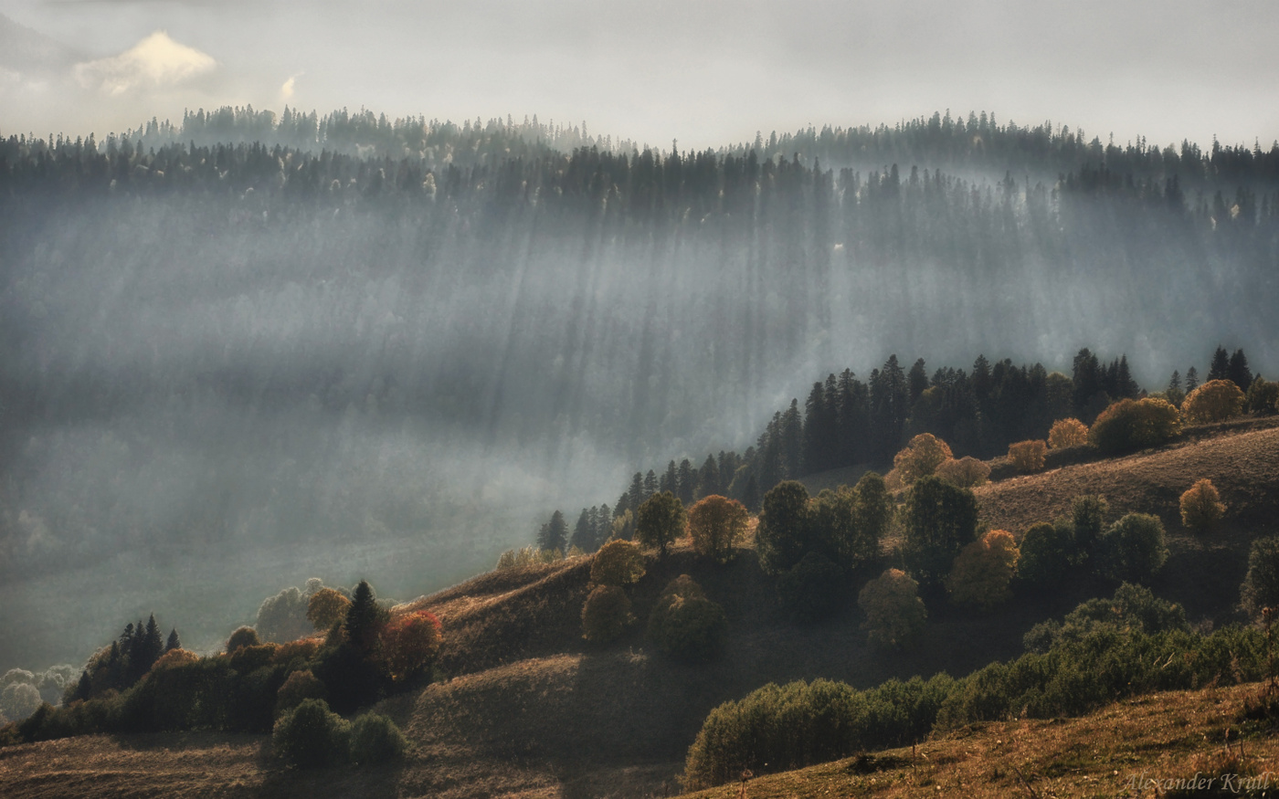 Навстречу свету