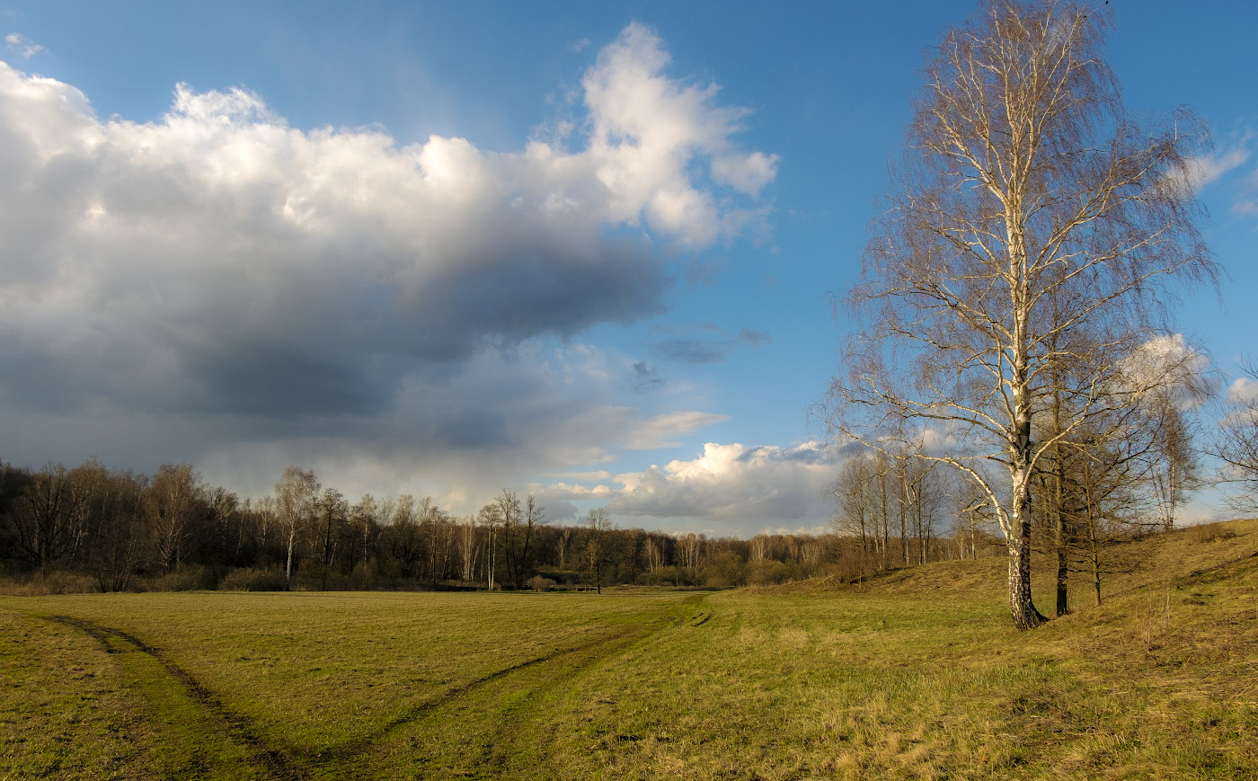 Две дороги- два пути.....