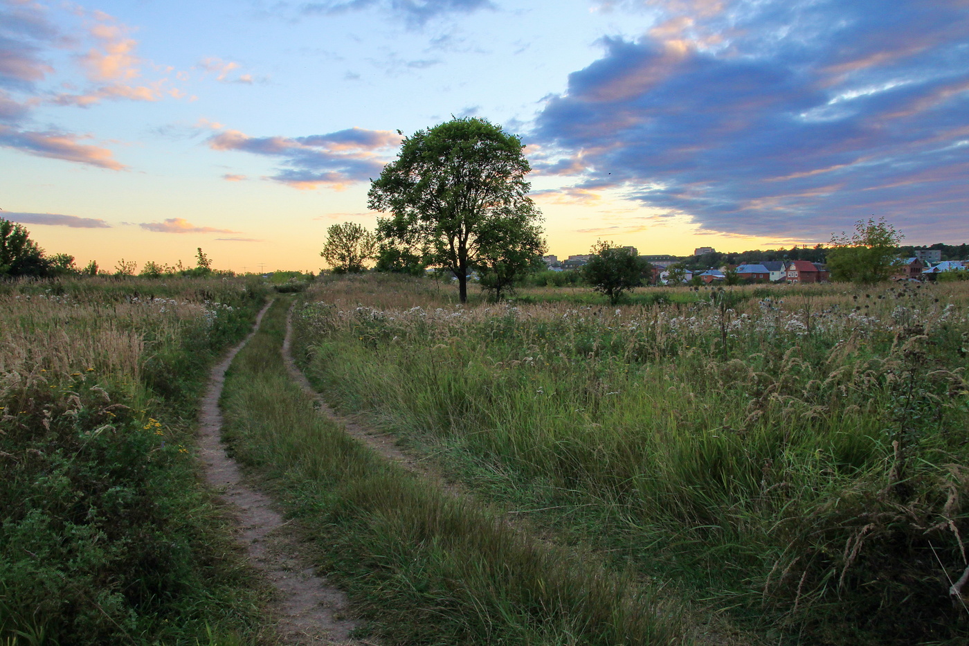 вечерний пригород