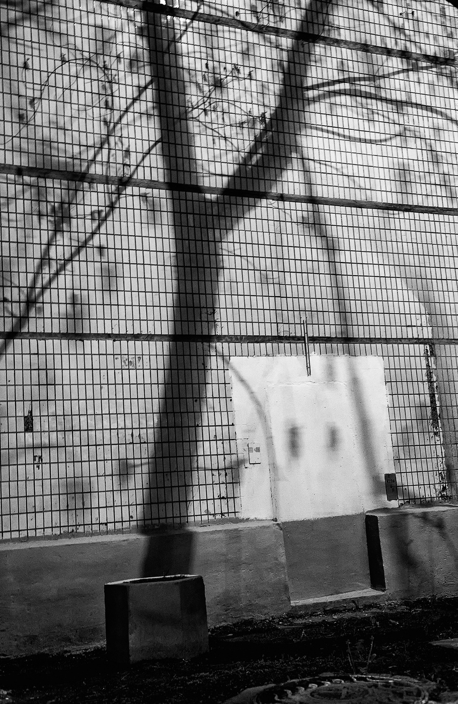 Что выросло, то выросло