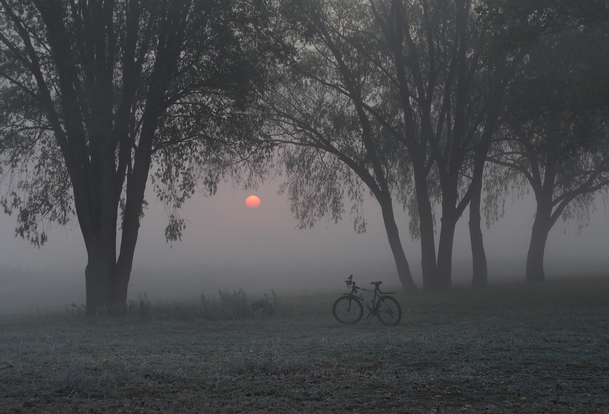 Встречать рассвет