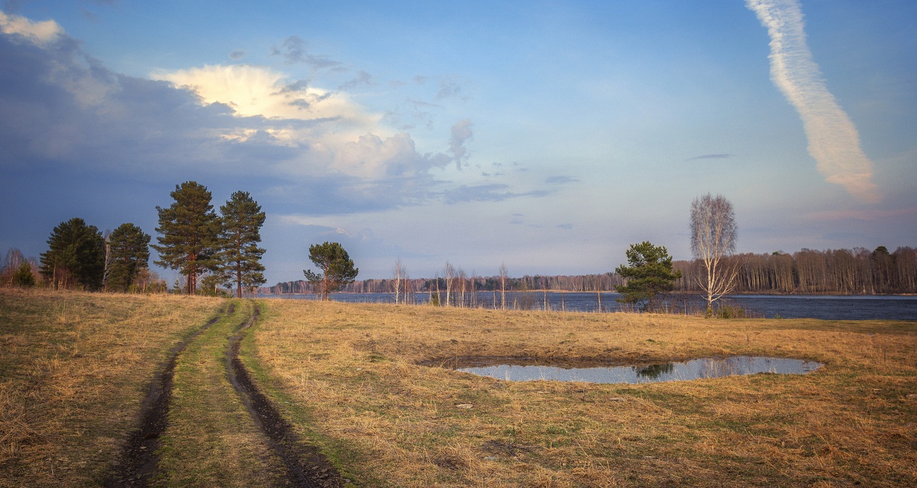 Линии весны.