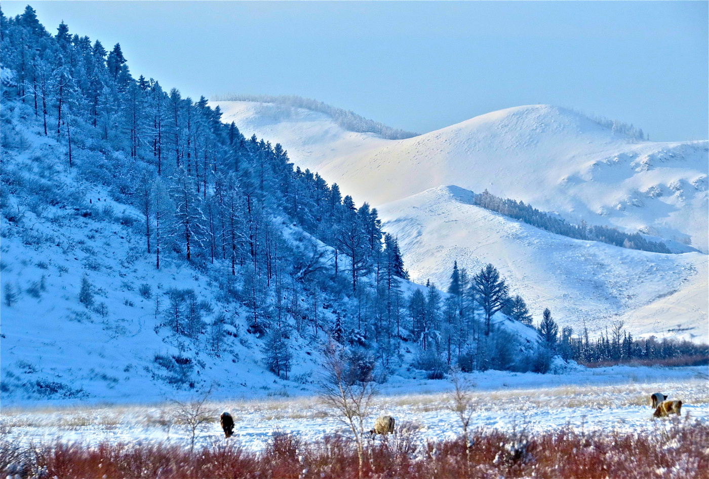 Меж отрогов Саянского горного хребта III