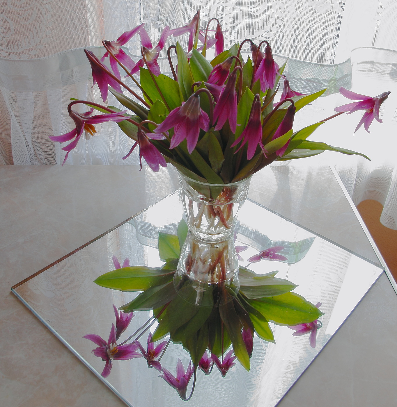 Весна в гостях на даче