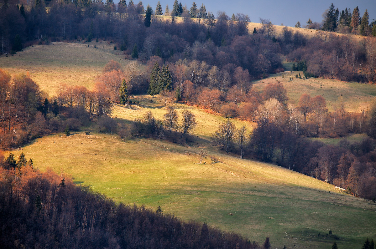 О весенней игре света и тени