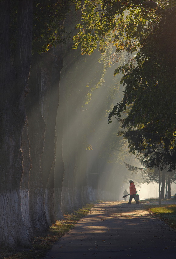 Дело было в парке