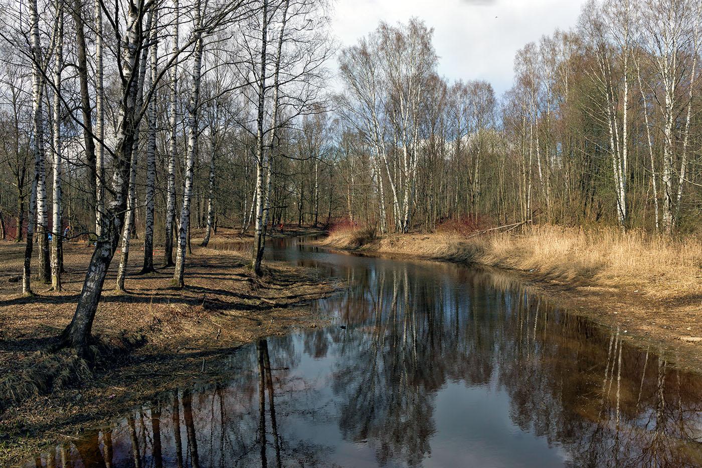 весенний парк