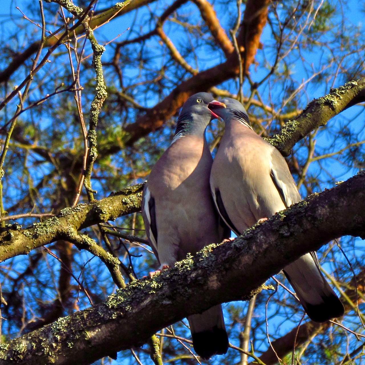 Дело было в парке