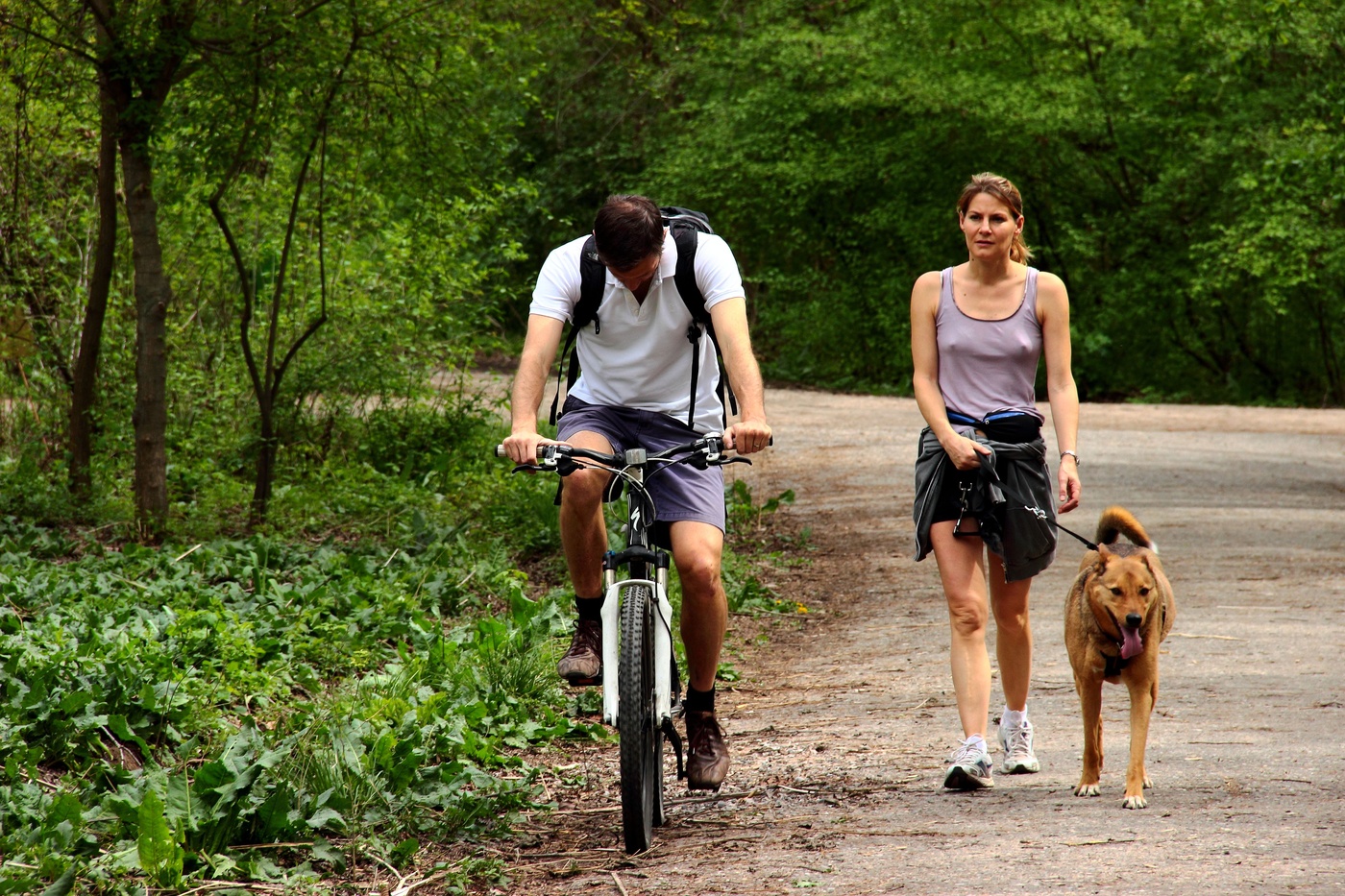 Дело было в парке