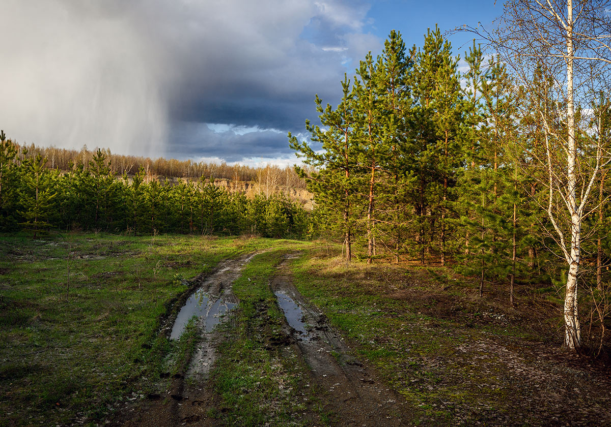 Апрельские дожди...