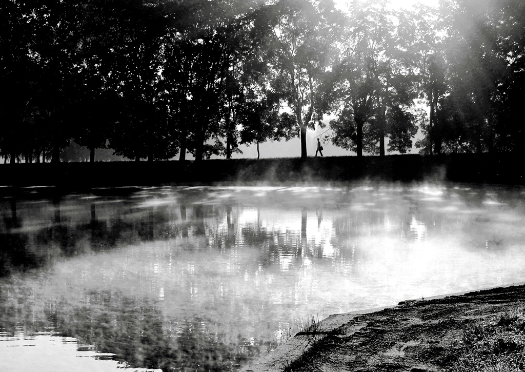 Дело было в парке