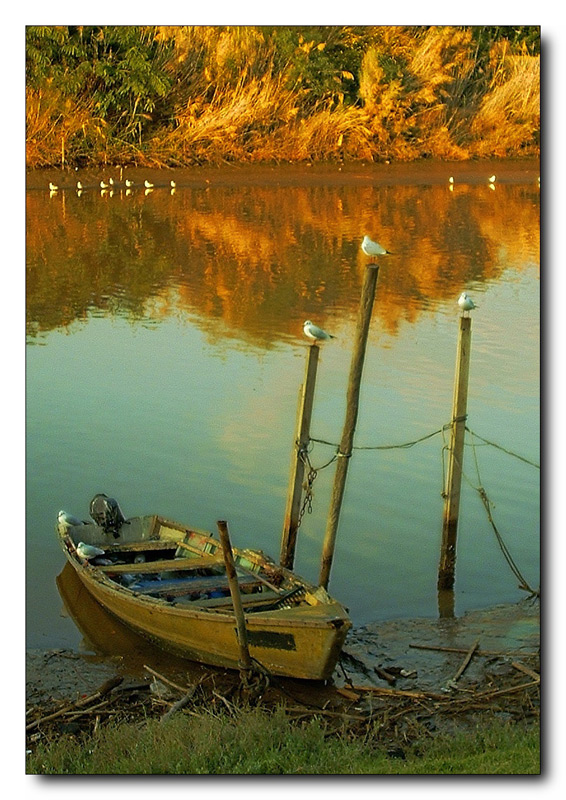 Пьедестал почёта