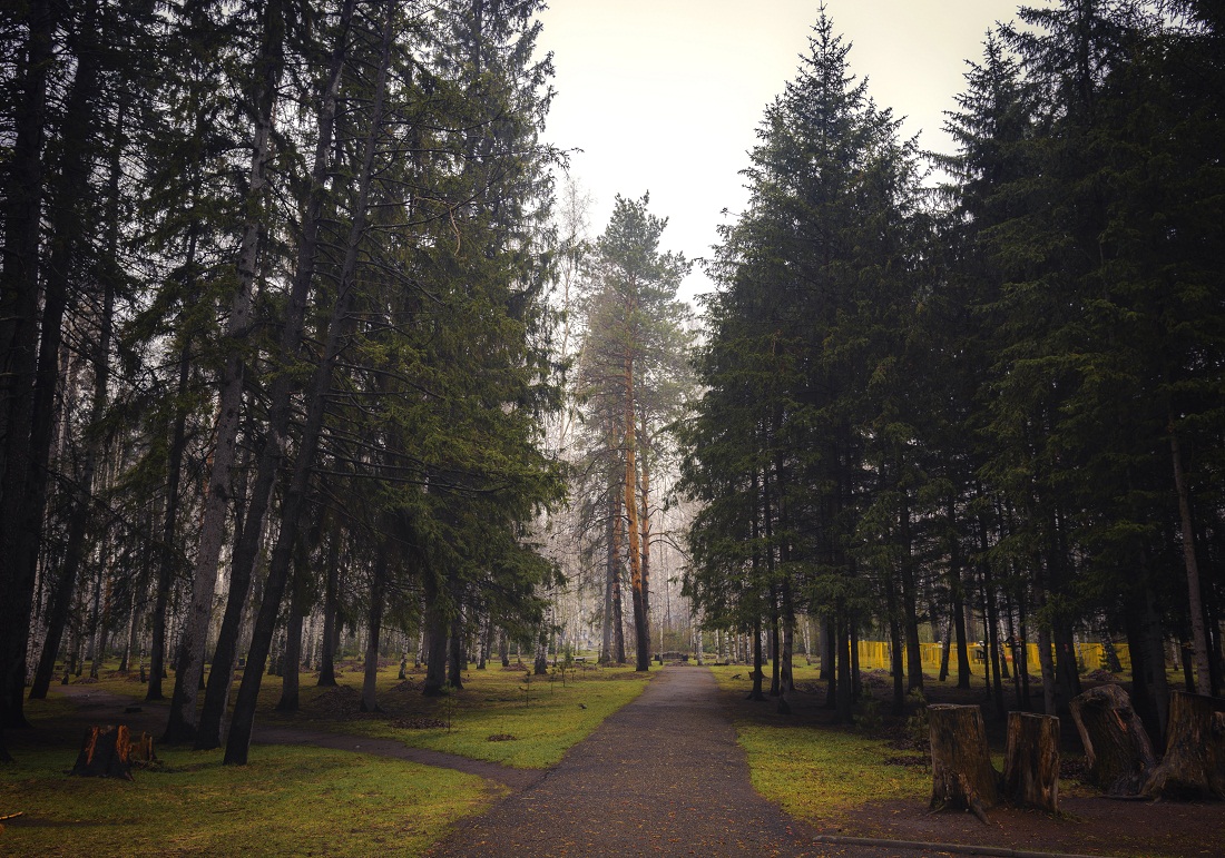 Дело было в парке