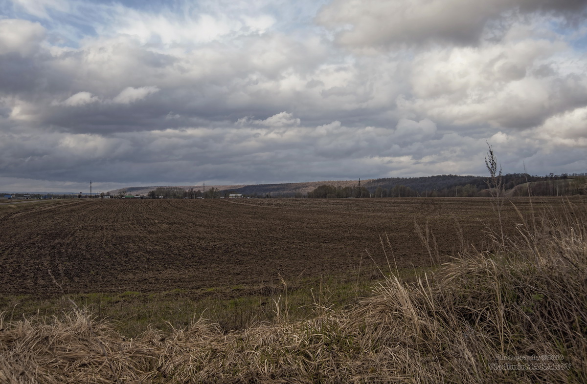 Весенние надежды