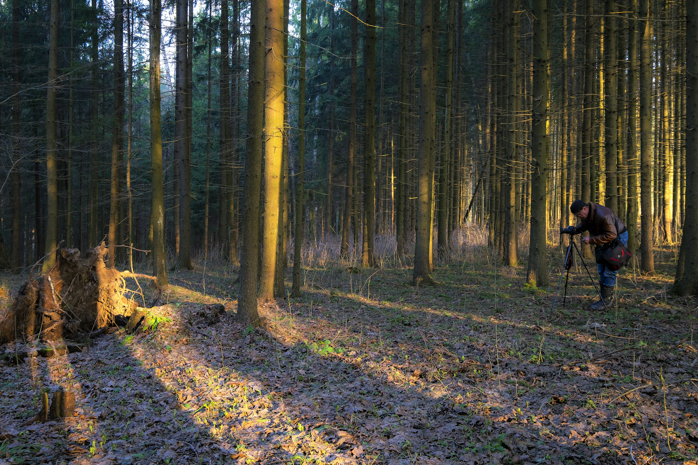 За рассветными лучами..