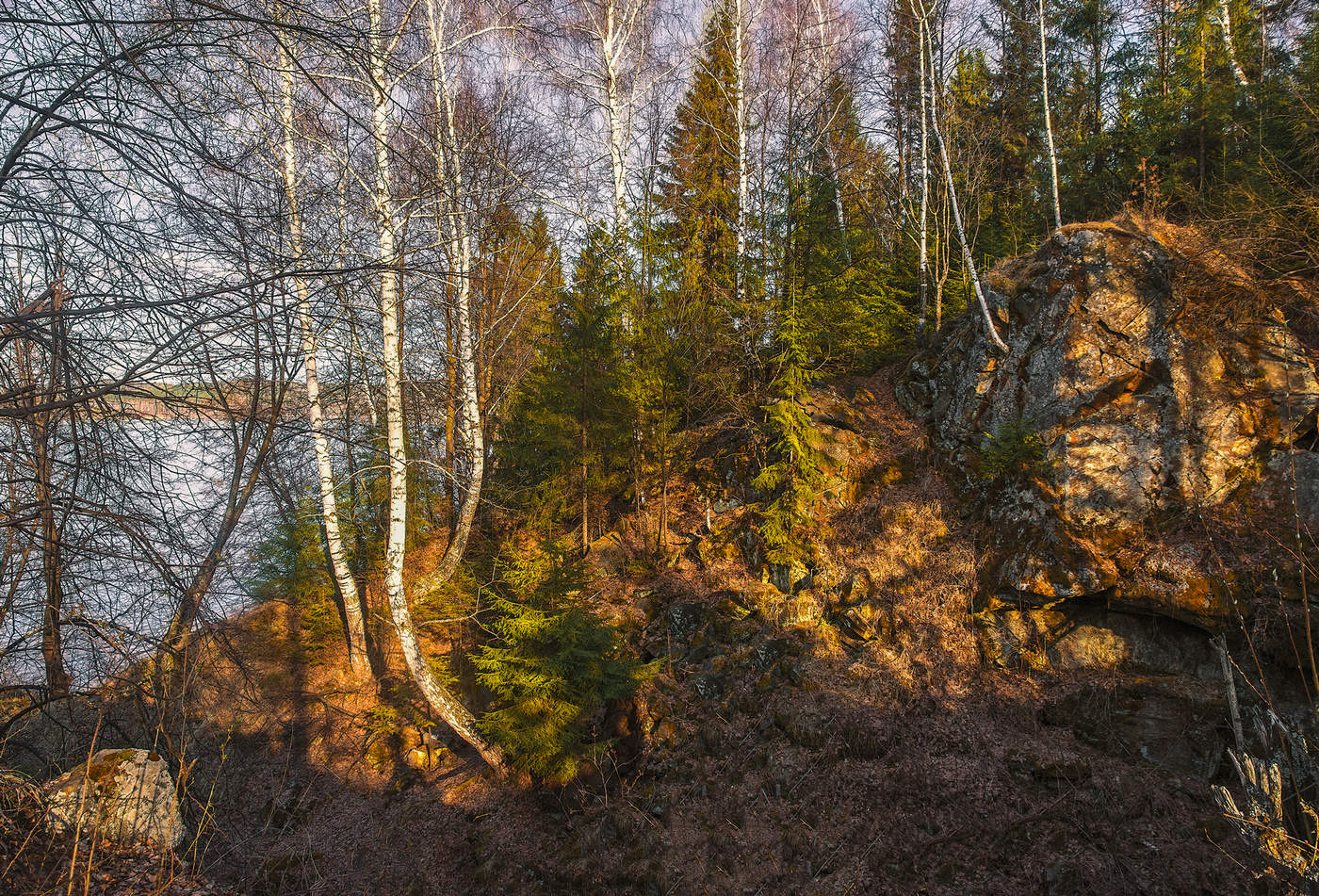 Весенние краски