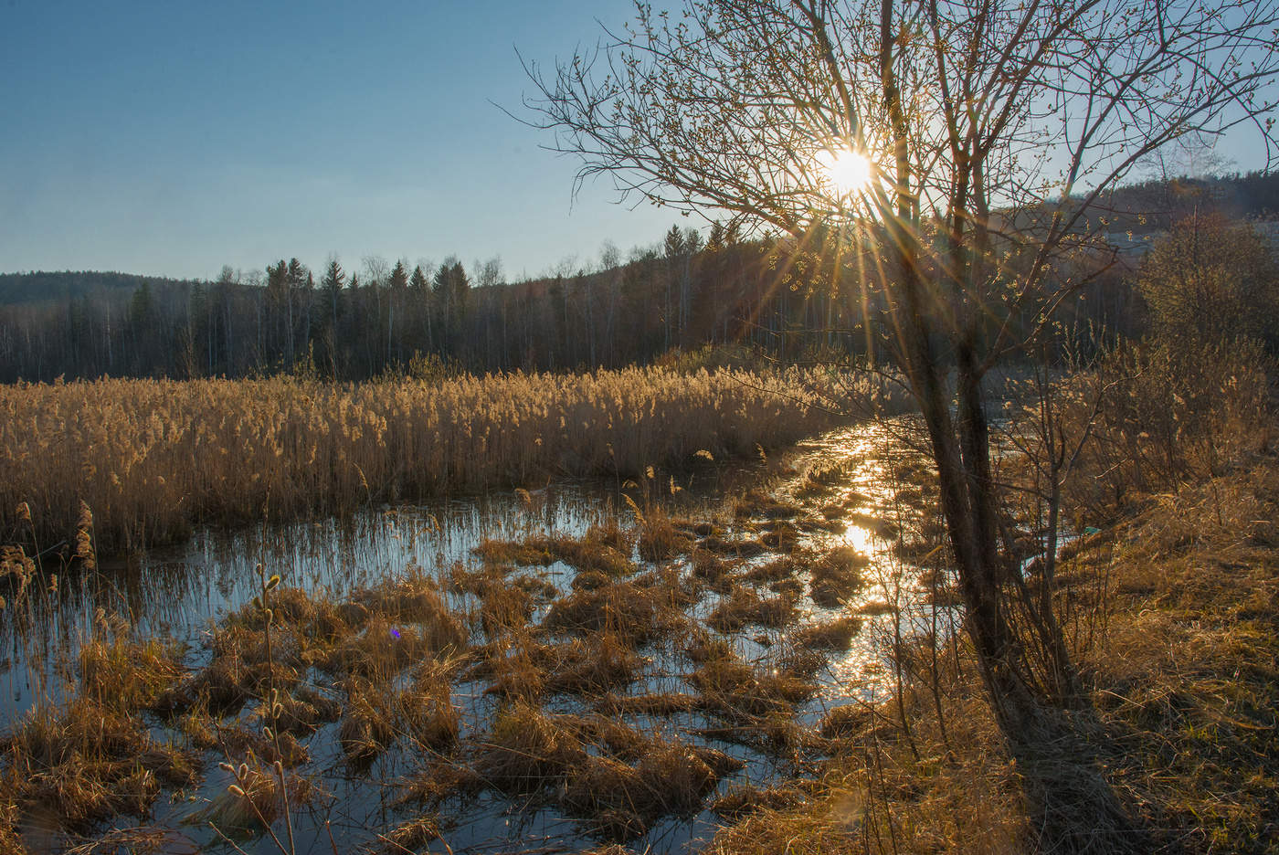 Солнечная дорожка