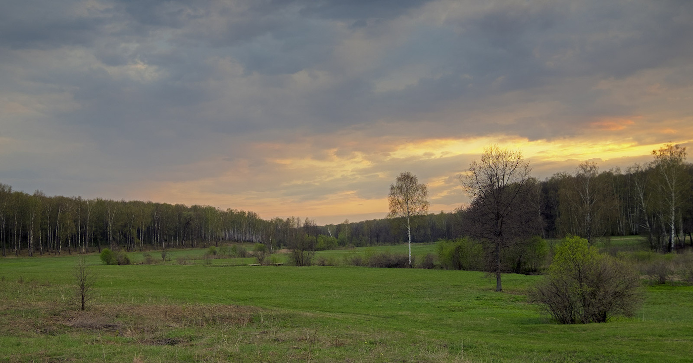 Весенний вечер на лугу.