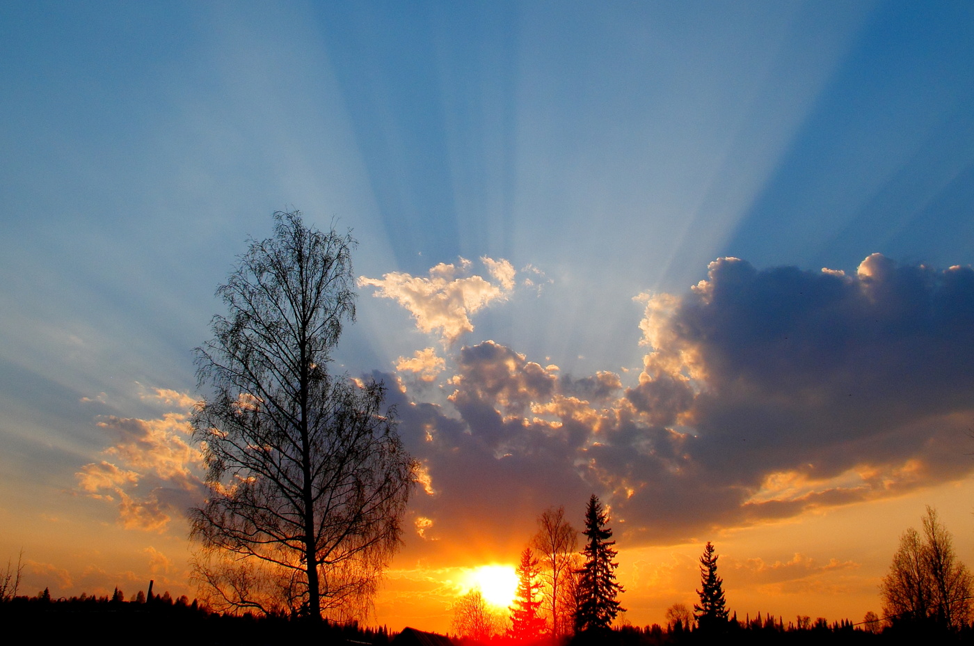 По небу солнце разливает краски