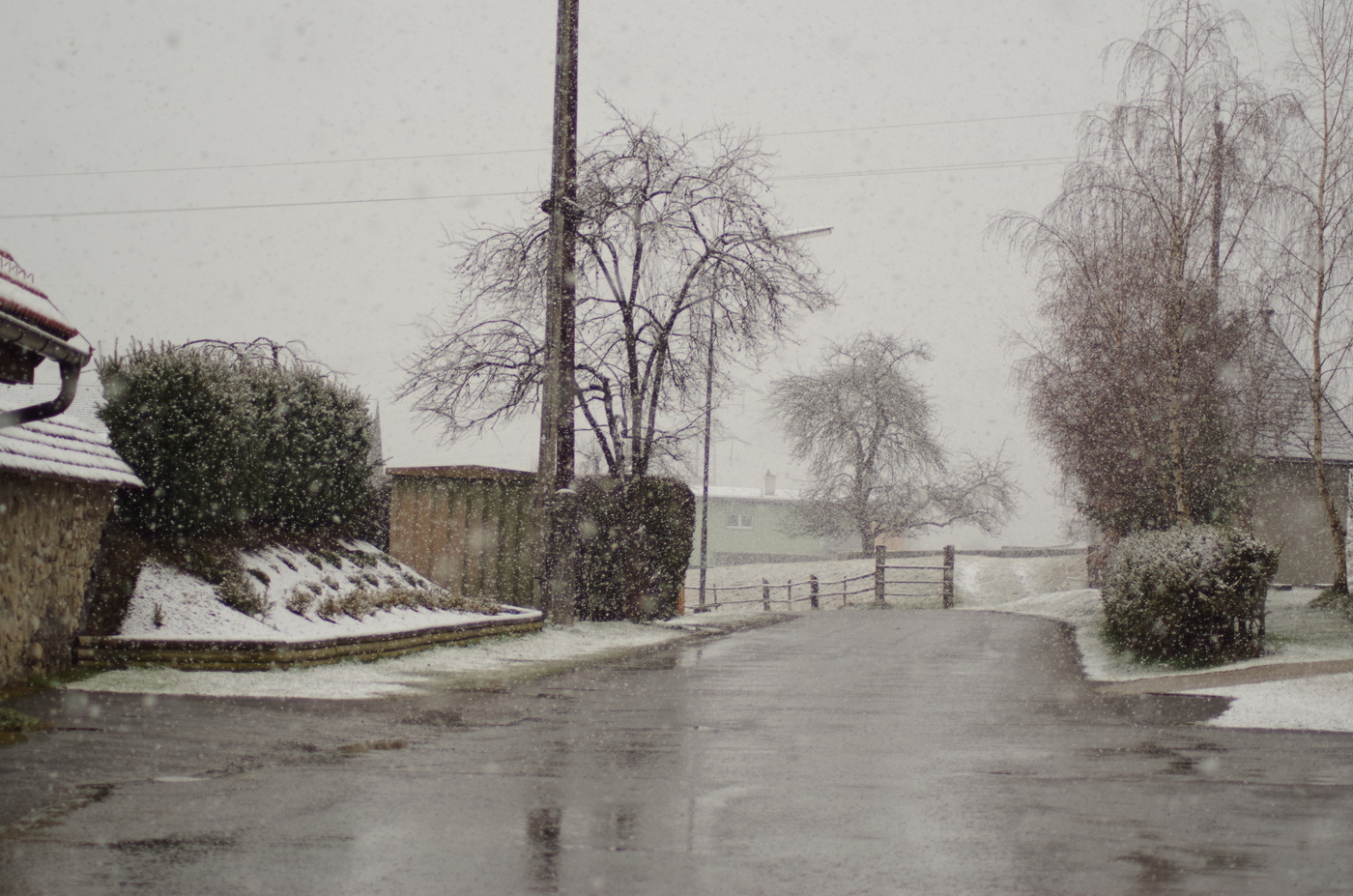 Неожиданный снег