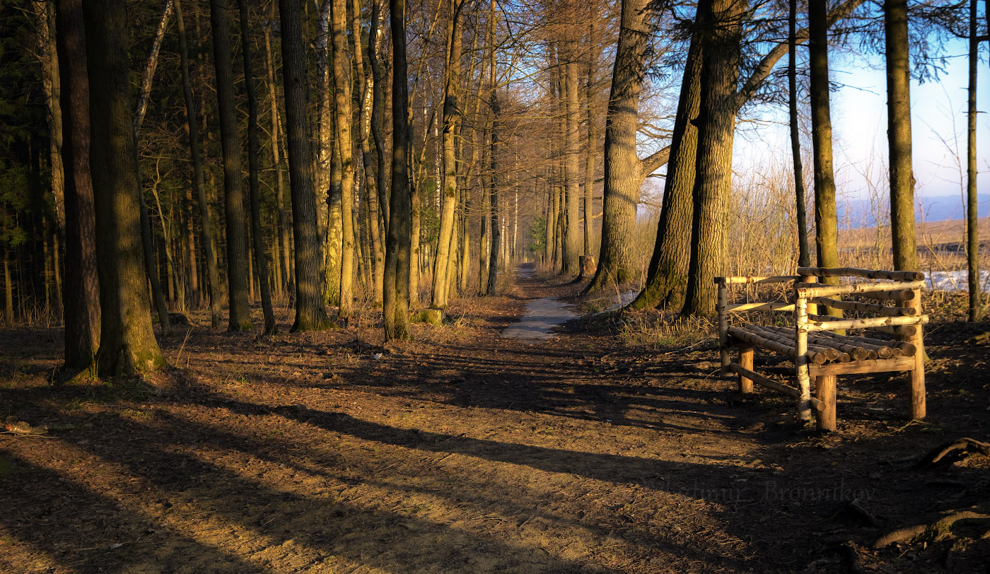 Любимая скамейка Л.Н. Толстого.