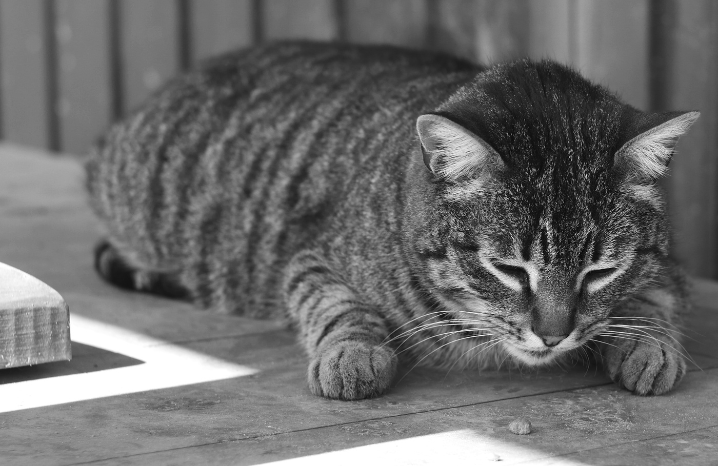 Не плачь Мотроскин,моряк не плачет...