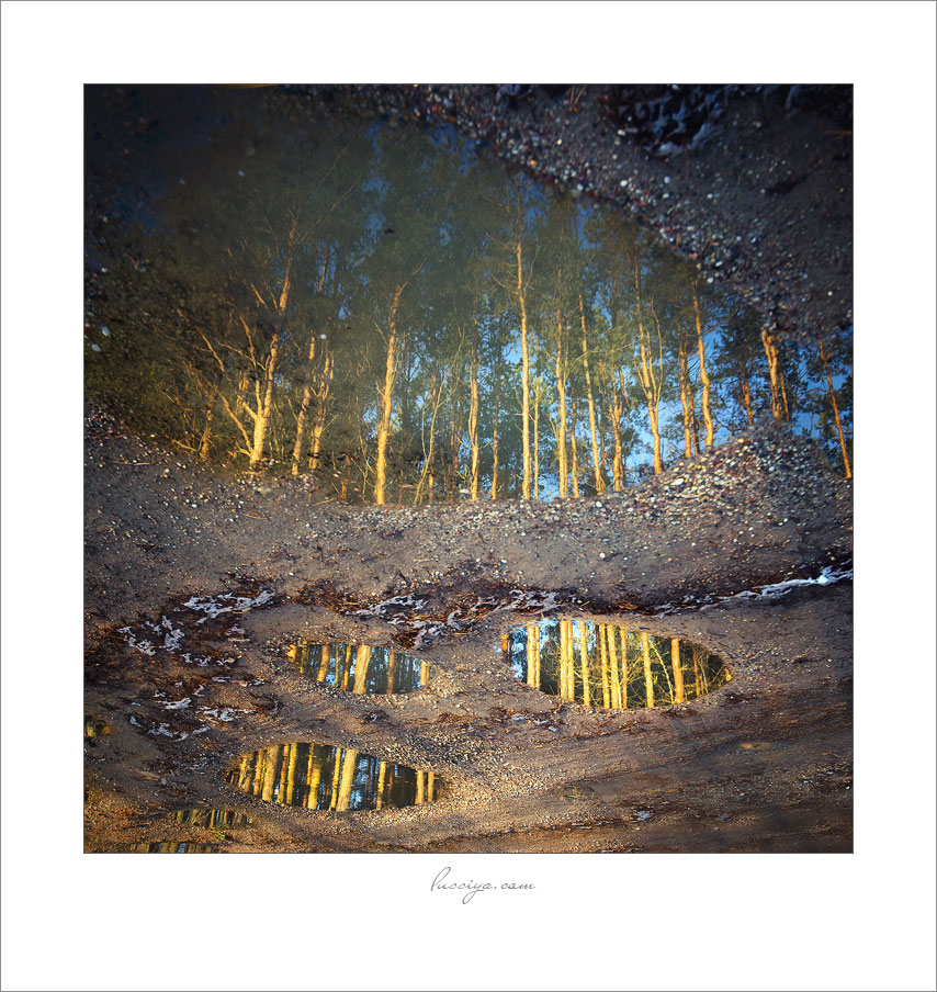 Весеннее пробуждение