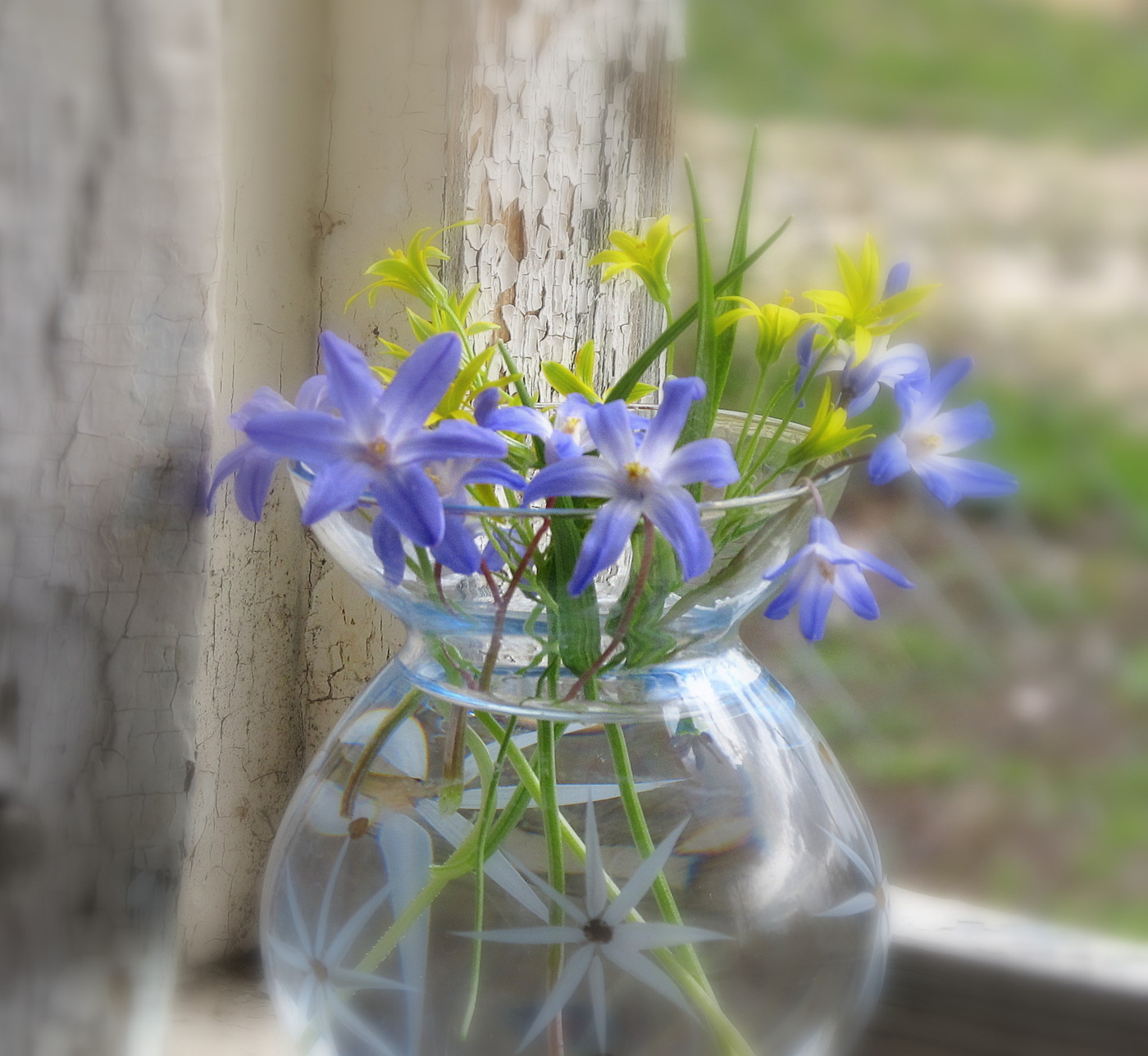 Весеннее пробуждение