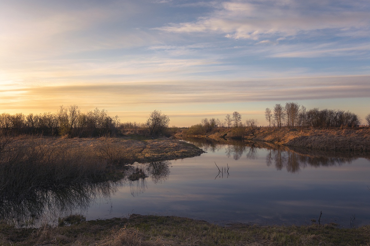 Вечерний свет.