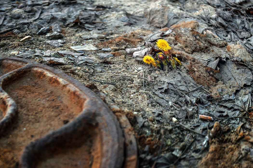 Весеннее пробуждение