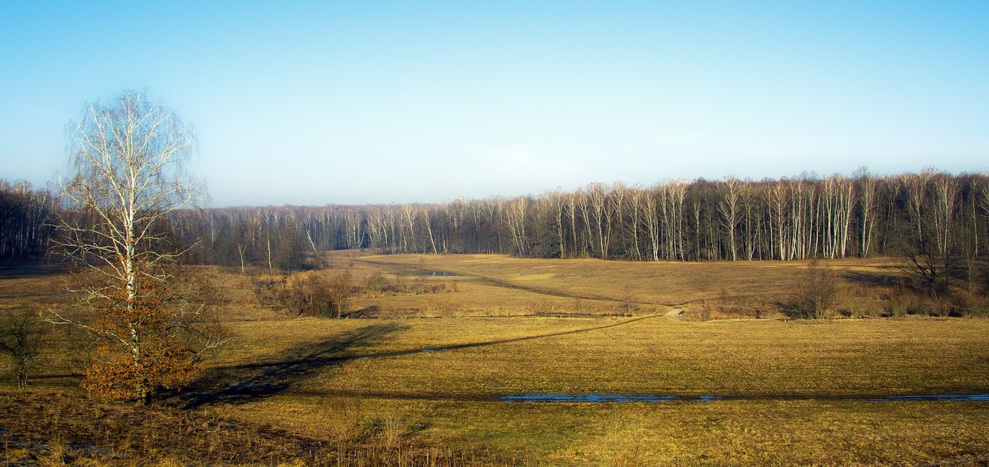 Апрельское утро.