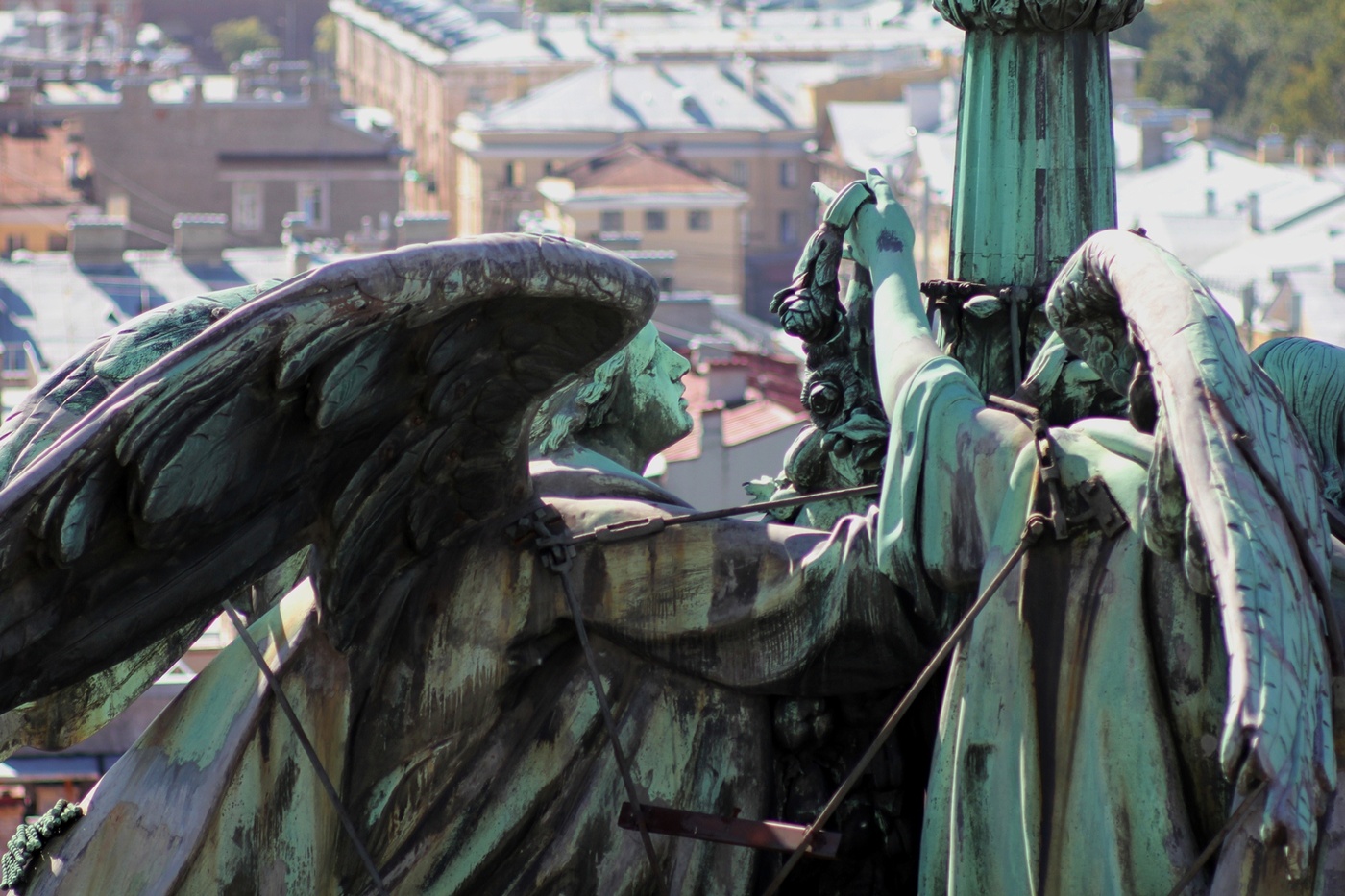 Давай, украсим наш город цветами!