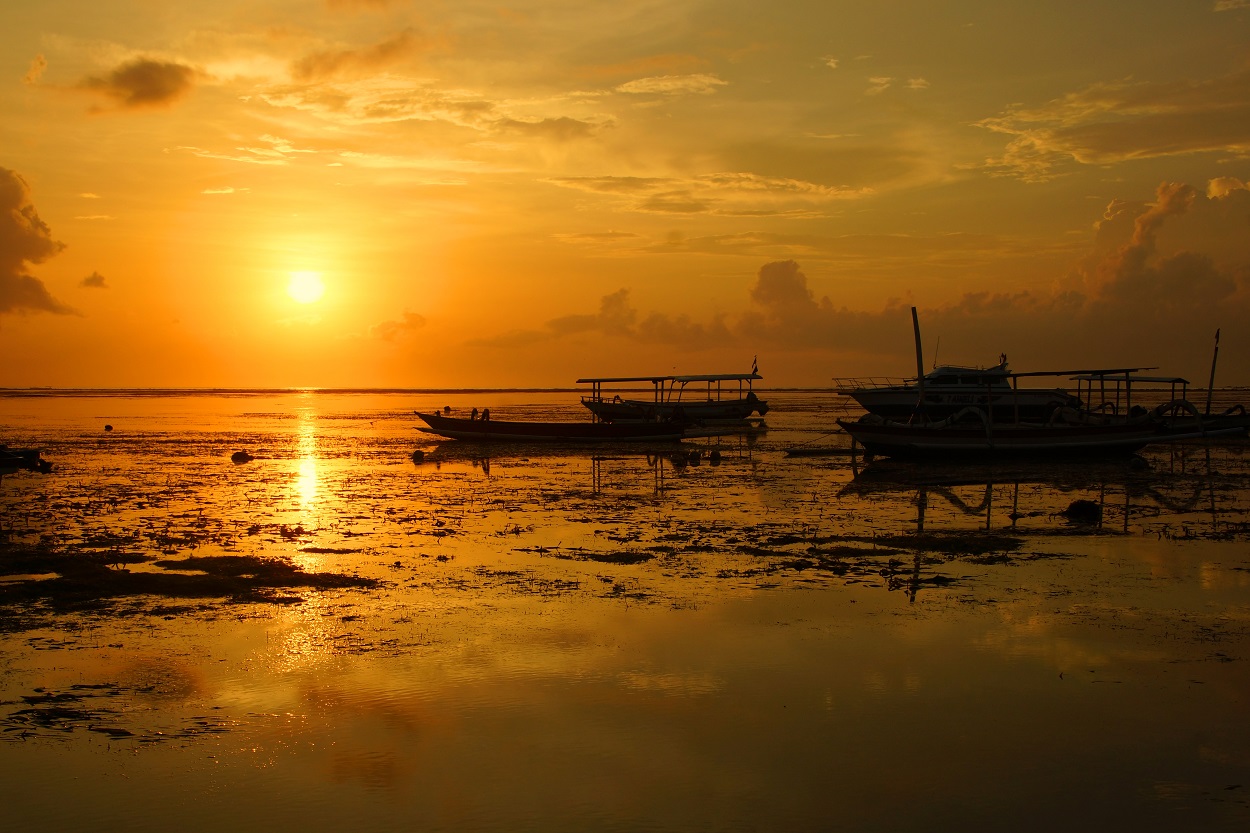 Однажды утром...