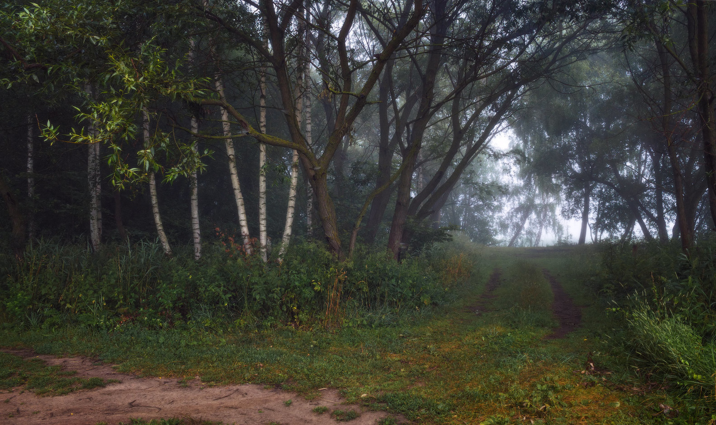 Дорога к реке