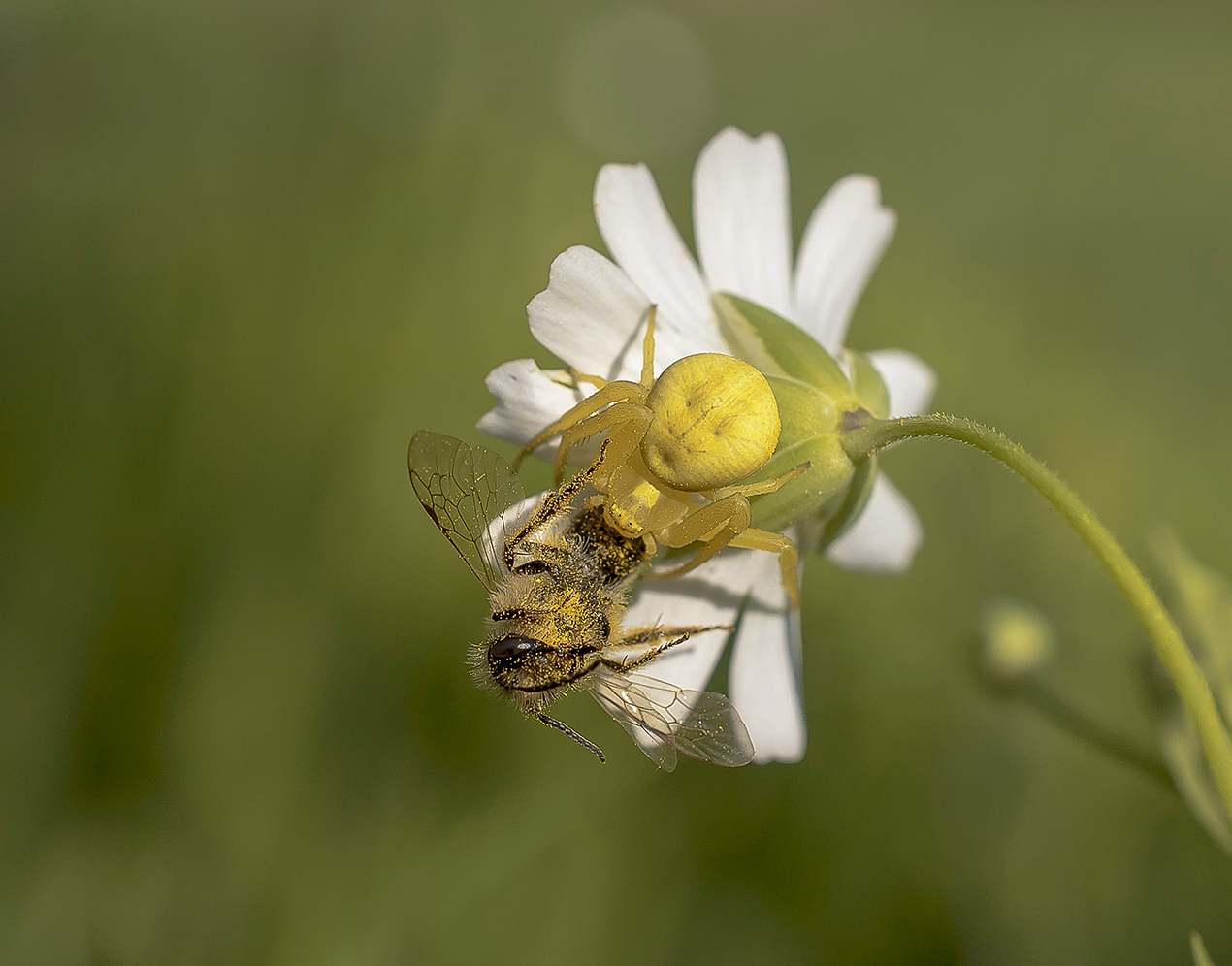 Сытный завтрак