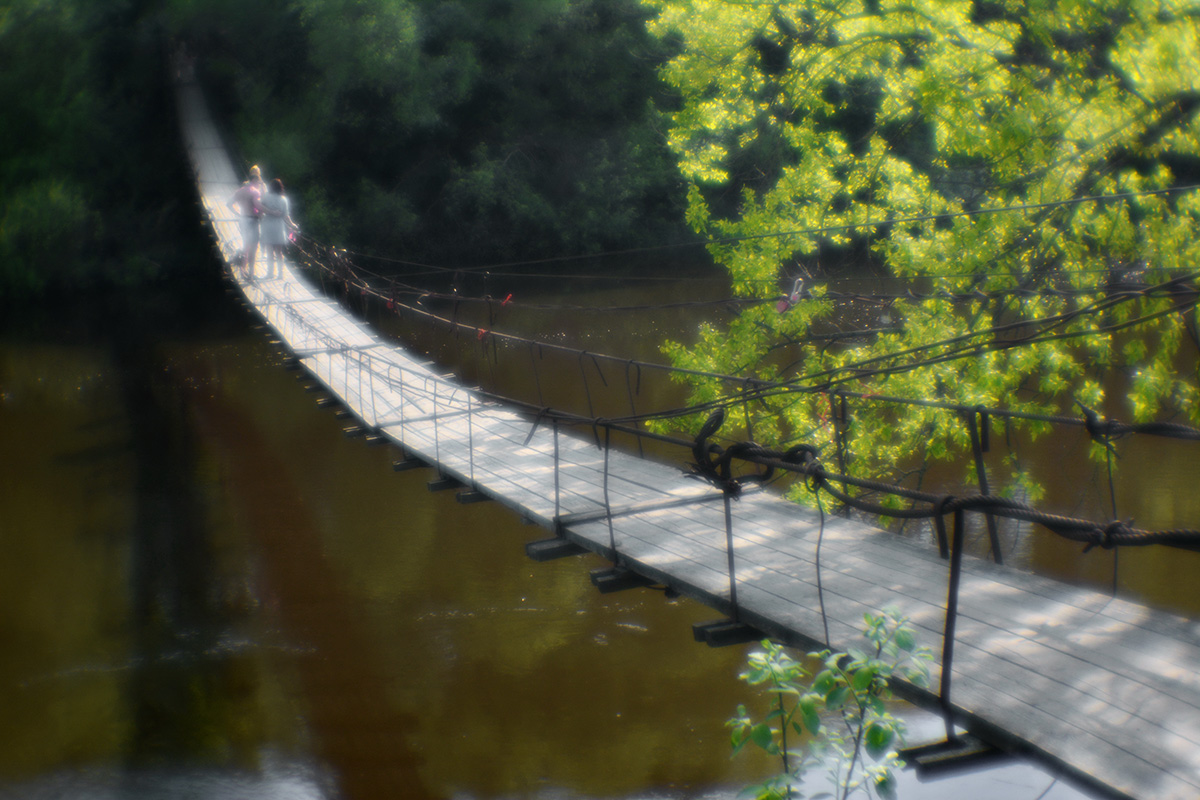 Солнечный день в Хотылёво.2016г.