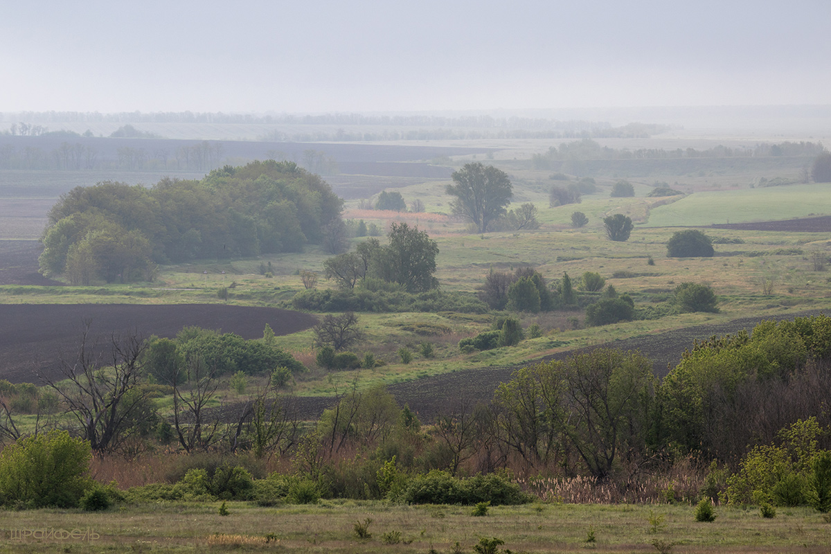 Утро Дня Победы